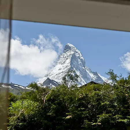 Castor Zermatt